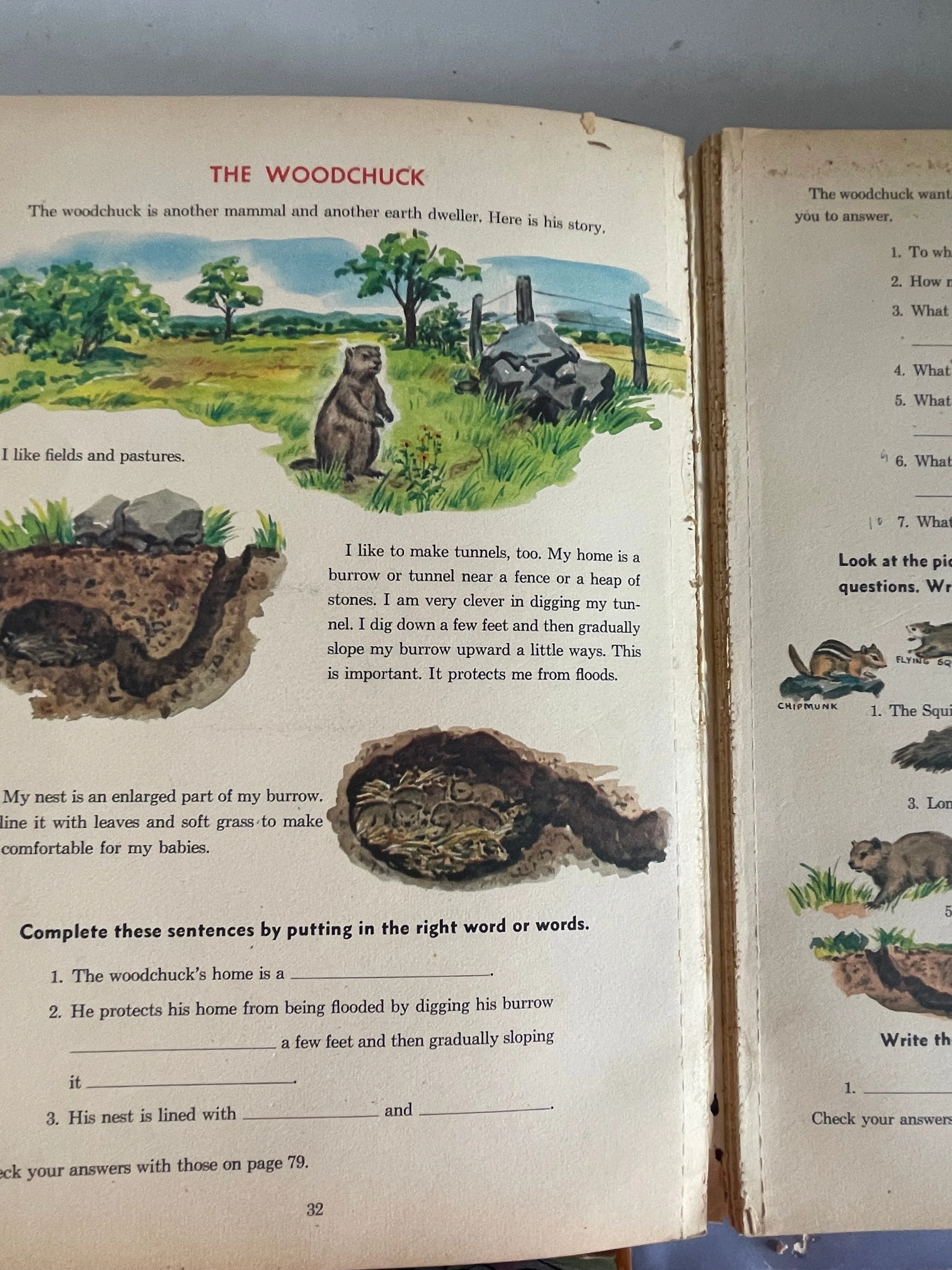 € Vintage 1963  Help Yourself Series Adventure On Our Earth Activity Workbook Text Book