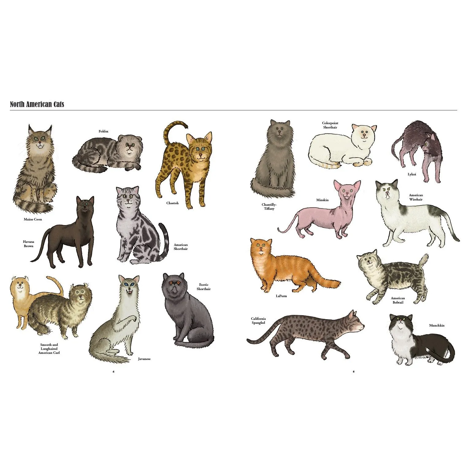 Big Cats, Little Cats: A Visual Guide To The World's Cats