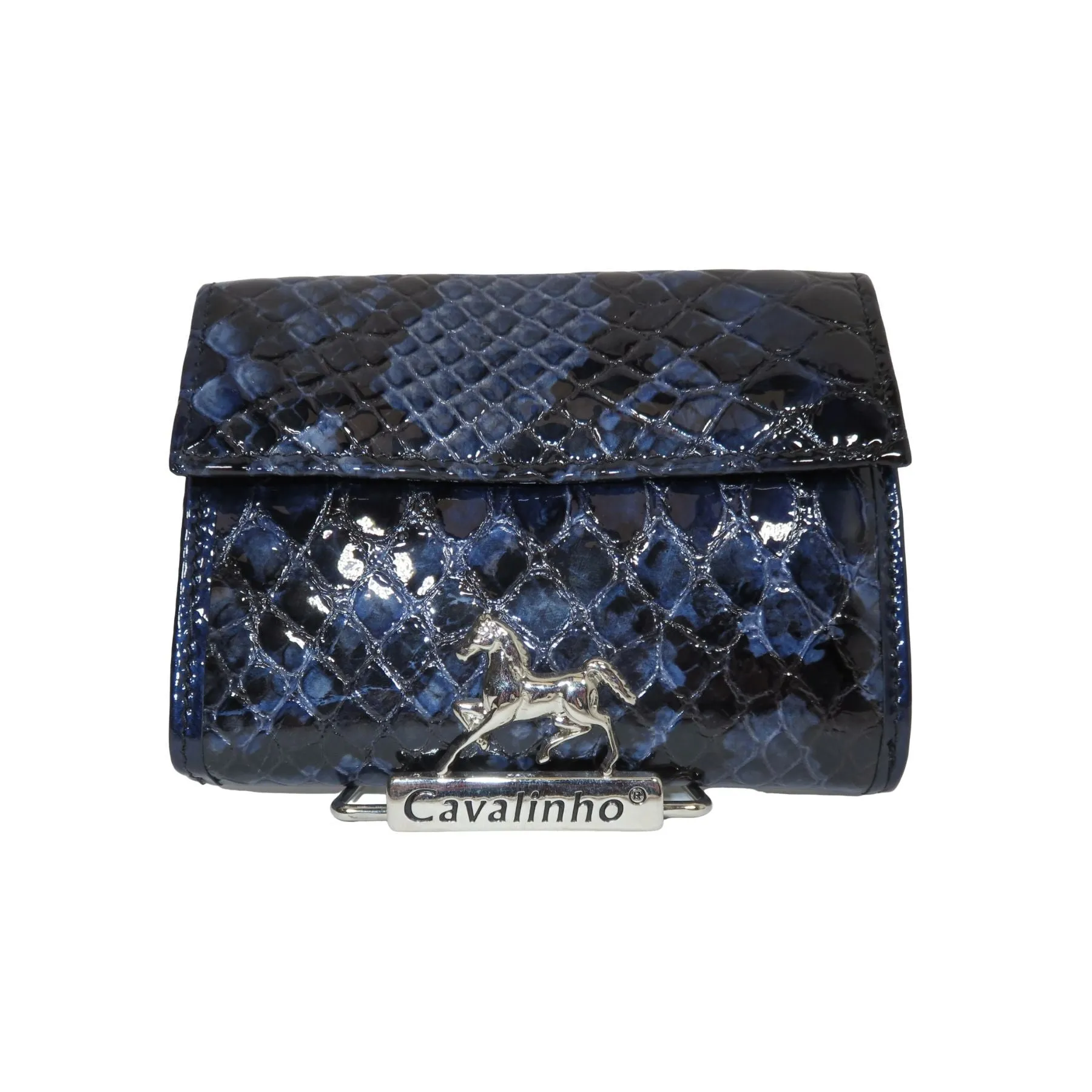 Blueberry Wallet