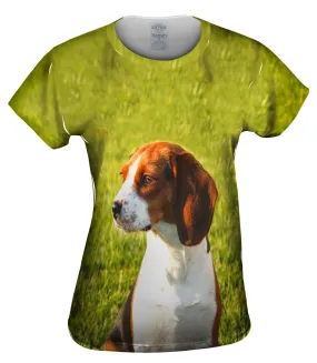 Brown Eared Beagle Regal