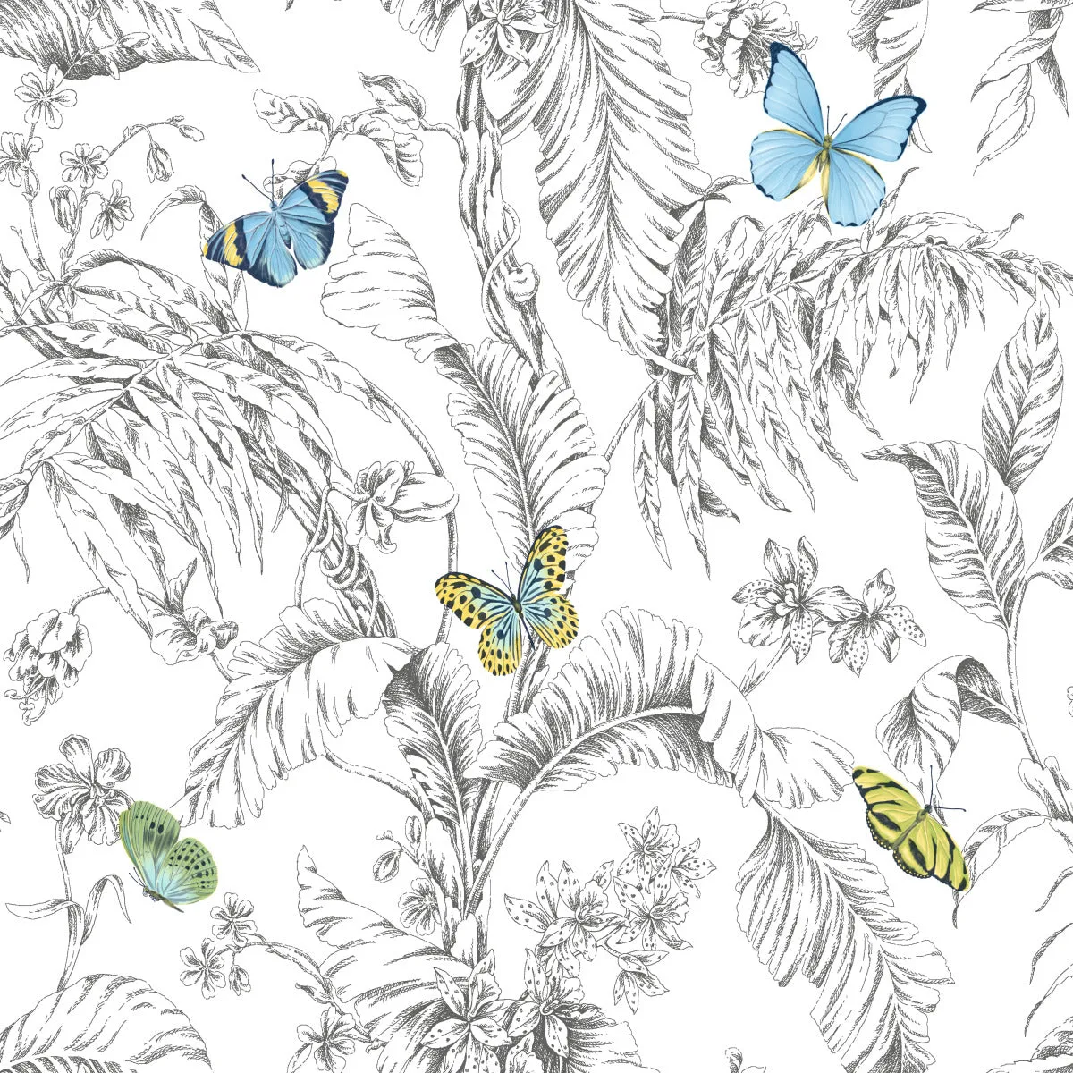 BUTTERFLY SKETCH PEEL & STICK WALLPAPER