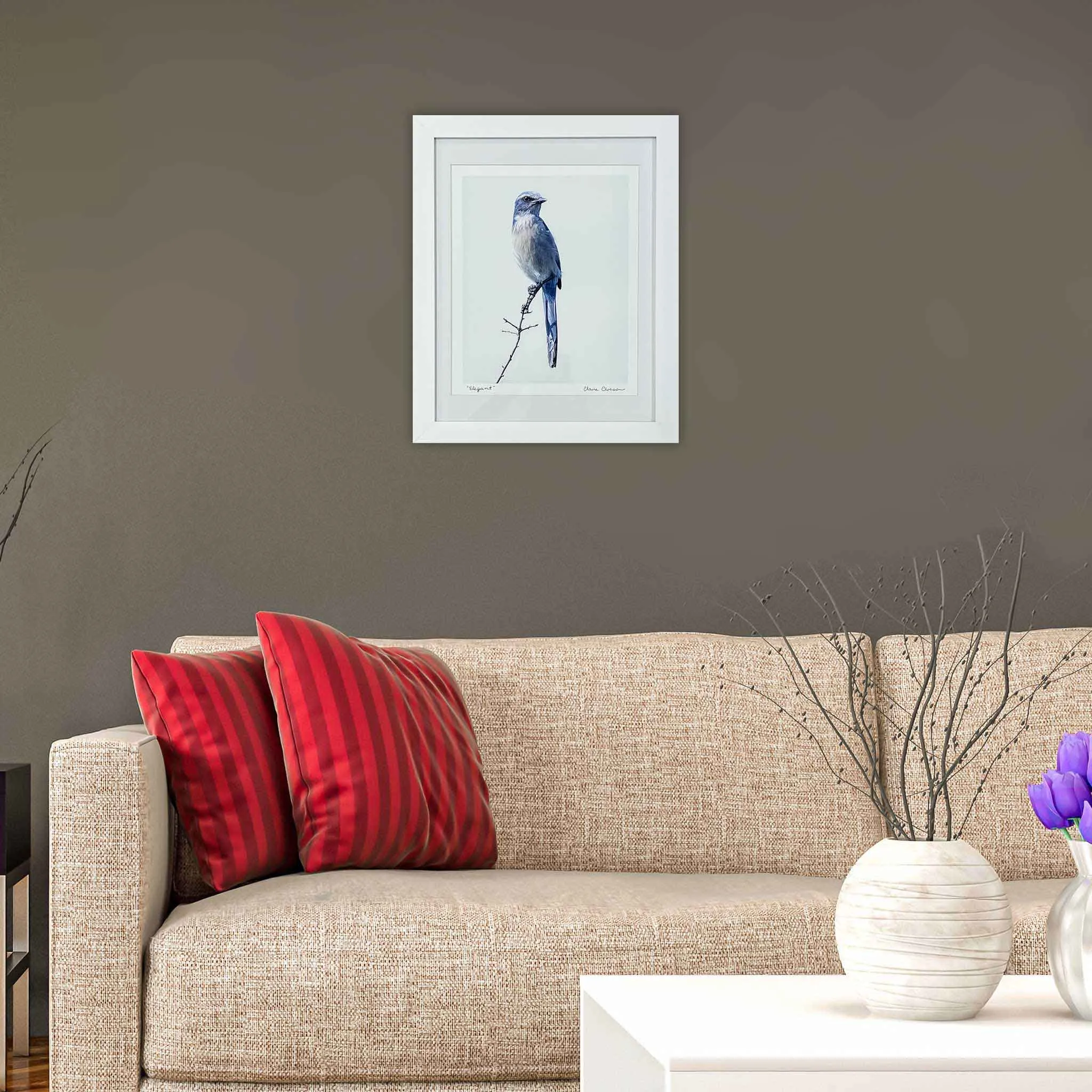 ECC Elegant  Framed Print of Florida Scrub Jay