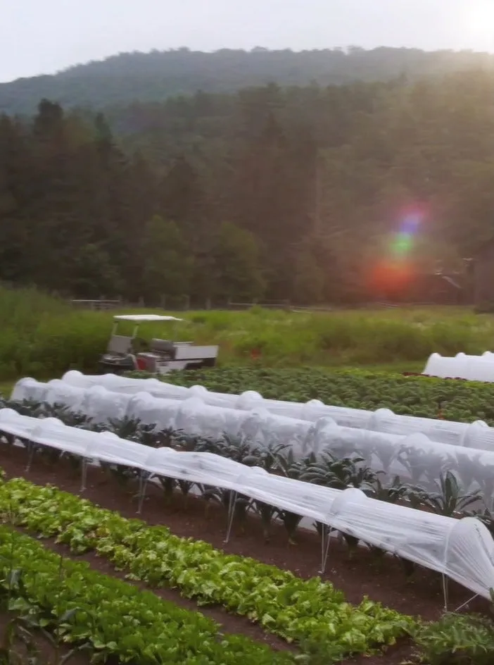 LowCat™ Tunnel Half Acre Farm Kit
