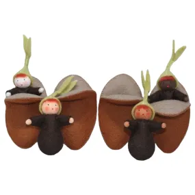 Seedling Baby with Seed Pod (various skin tones)