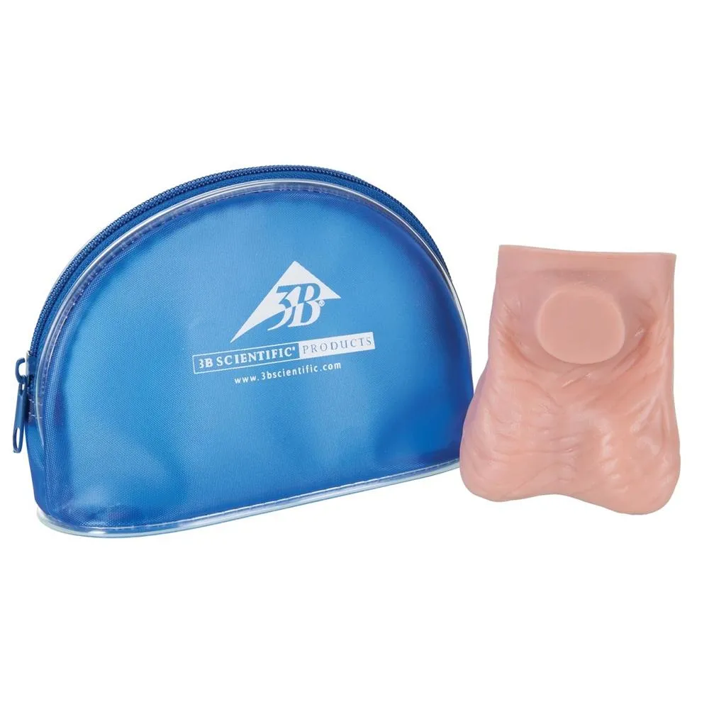 Testicle Self-Examination Model, Light